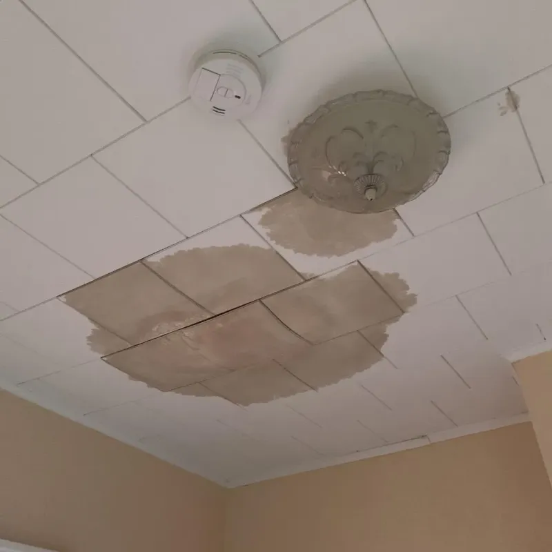 Ceiling Water Damage Repair in Brentwood, NY